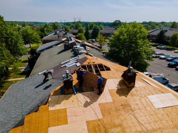 24/7 Emergency Roofing experts in Thomson, IL